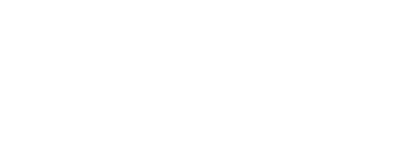 Beranet Logo